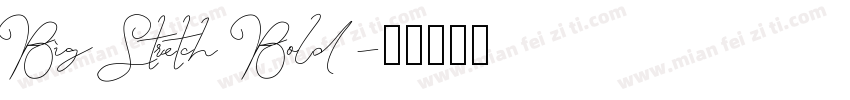 BigStretch Bold字体转换